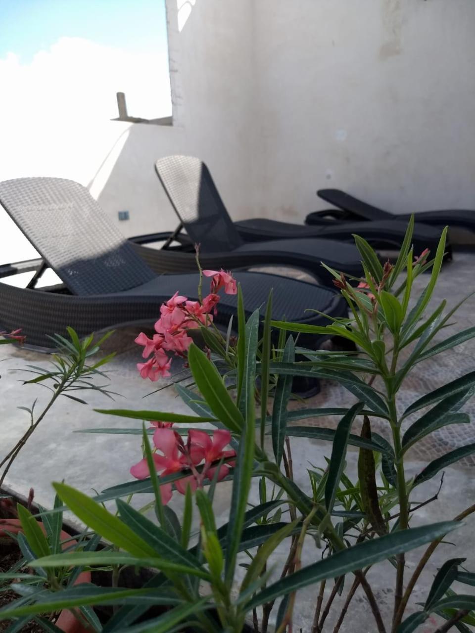 Sol-Ha Tulum Hotel Boutique 외부 사진